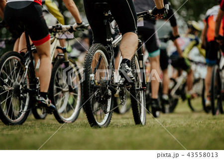 back group of cyclists mountain bikers back group of cyclists mountain bikers 43558013