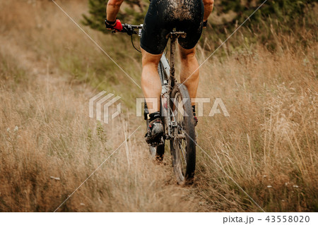 back and legs cyclist mountain biker 43558020