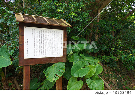 沖縄県浦添・浦添グスク・伊波普猷の墓 沖縄県浦添・浦添グスク・伊波普猷の墓 43558494