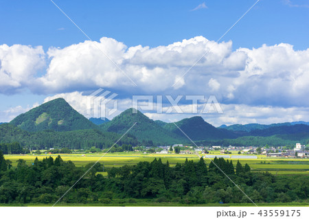 さわやか　山形県金山町 43559175