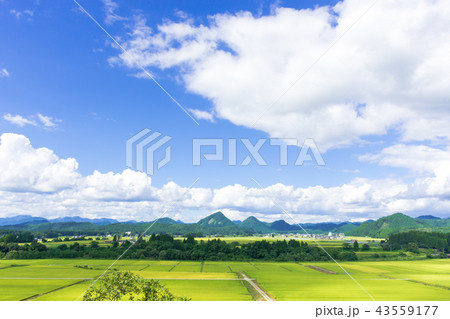 さわやか　山形県金山町 43559177