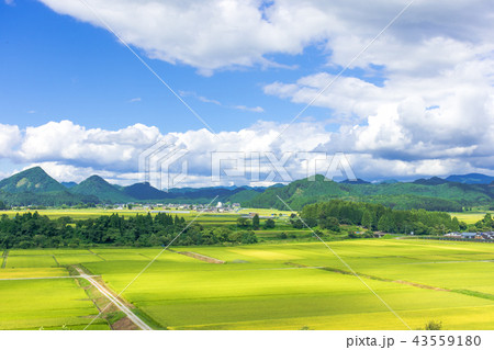 さわやか 山形県金山町 さわやか 山形県金山町 43559180