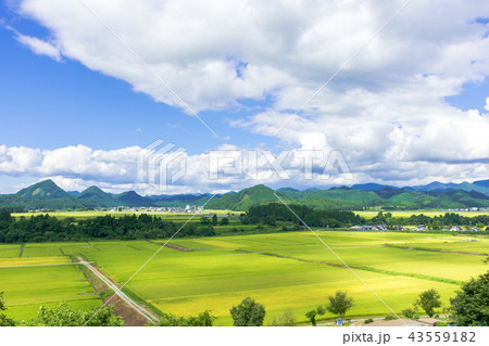 さわやか　山形県金山町 43559182