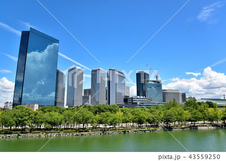 真夏の大阪ビジネスパーク 真夏の大阪ビジネスパーク 43559250