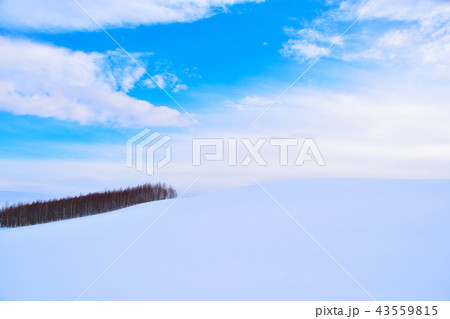 丘陵の雪景色 43559815