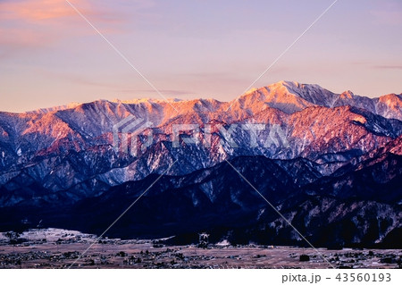 鷹狩山から望む北アルプスの山並み 43560193