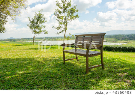 garden in Singha park Chiang Rai,Thailand 43560408