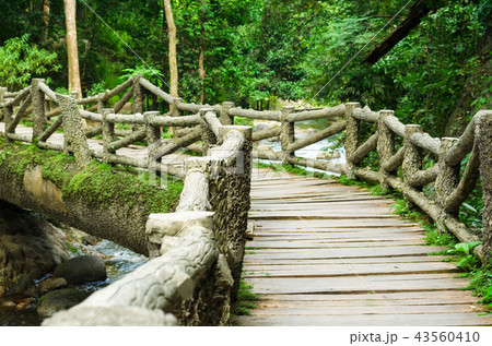 Stone bridge over the river Stone bridge over the river 43560410