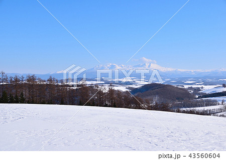 大雪山 遠景 大雪山 遠景 43560604