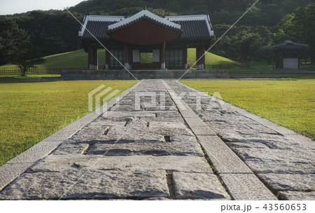 伝統 森の道 朝鮮王陵 43560653