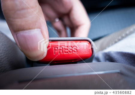 pressing and releasing seat belt buckle in car 43560882