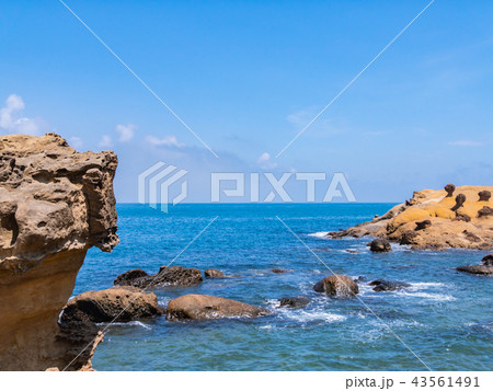 台湾 新北市 野柳地質公園 43561491