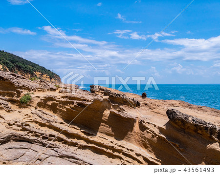 台湾 新北市 野柳地質公園 43561493