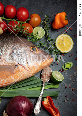 Fresh raw red snapper fish with spices 43561733