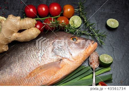 Fresh raw red snapper fish with spices, herbs Fresh raw red snapper fish with spices, herbs 43561734