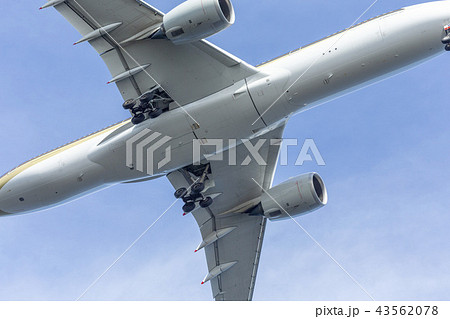 国内線 ターミナル エア エアライン ジャル ANA JAL ANA 格安 機体 ファン 高空 航空 国内線 ターミナル エア エアライン ジャル ANA JAL ANA 格安 機体 ファン 高空 航空 43562078