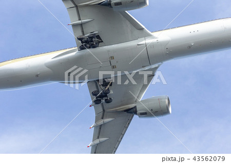国内線　ターミナル　エア　エアライン　ジャル　ANA　JAL ANA 格安　機体　ファン　高空　航空 43562079