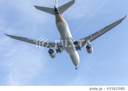 国内線　ターミナル　エア　エアライン　ジャル　ANA　JAL ANA 格安　機体　ファン　高空　航空 43562080