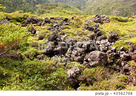 坪庭の溶岩台地(2) 坪庭の溶岩台地(2) 43562708