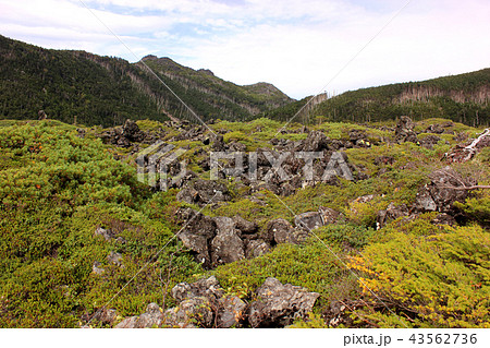 坪庭と三ッ岳(3) 坪庭と三ッ岳(3) 43562736