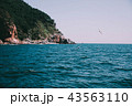 釜山 海 新しい 43563110