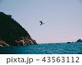 釜山 海 新しい 43563112