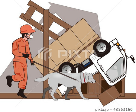 災害救助犬 災害救助犬 43563160
