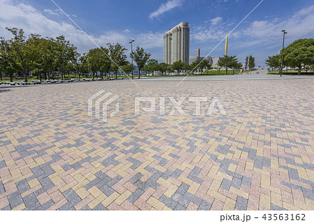 お台場シンボルプロムナードのインターロッキングブロック 43563162