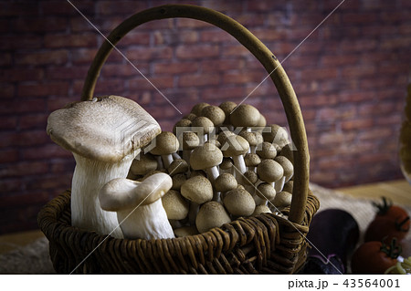 バスケットに入ったキノコ バスケットに入ったキノコ 43564001