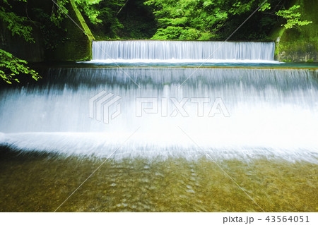 尚仁沢川取水堰 43564051