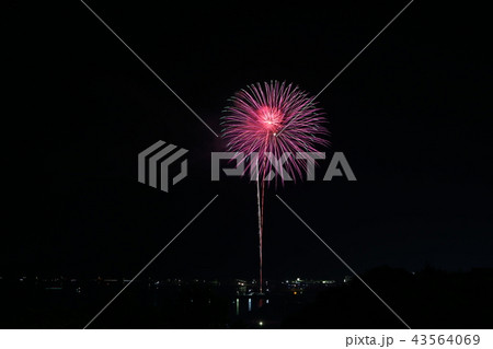花火 花火 43564069