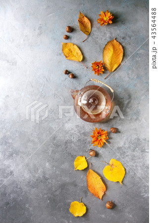 Glass teapot with autumn leaves Glass teapot with autumn leaves 43564488