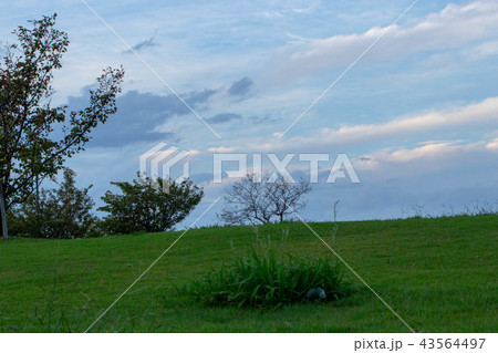 富田　富双公園 43564497