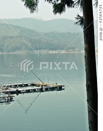 奥琵琶湖 43564745
