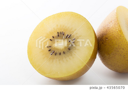 ゴールドキウイ 43565070