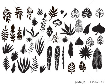 Set of herbs and flowers 43567047