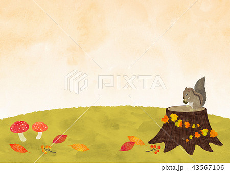 リスと秋の野原 43567106
