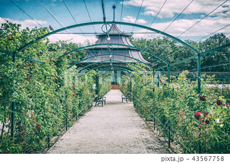 Seasonal rose garden, Esterhazy castle Fertod 43567758