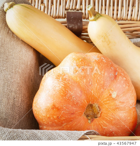 Autumn organic vegetables. Autumn organic vegetables. 43567947