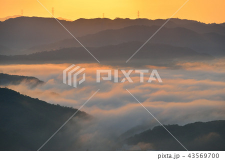 大撫山 大撫山 43569700