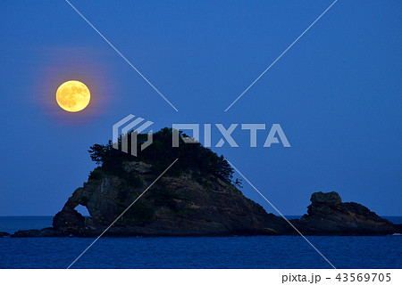 鯛島 鯛島 43569705