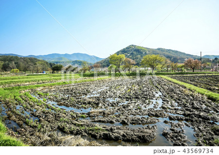ウェアム民俗村 牙山市 忠南 43569734