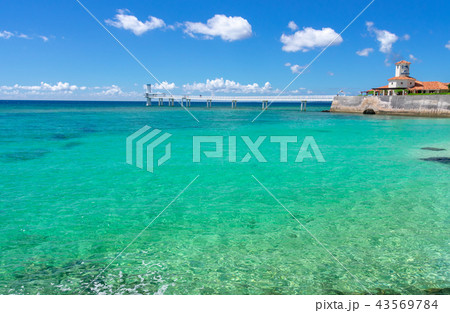 沖縄のブセナ海中公園の海 沖縄のブセナ海中公園の海 43569784