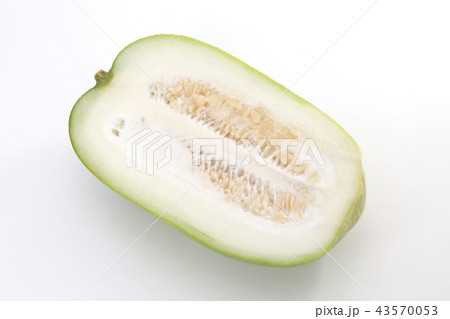 冬瓜 43570053