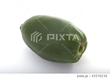 パパイヤ 43570230