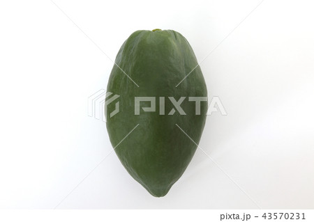 パパイヤ 43570231