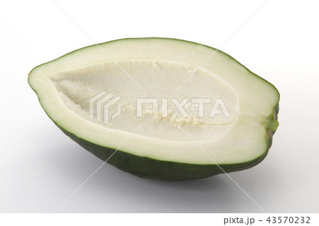 パパイヤ 43570232