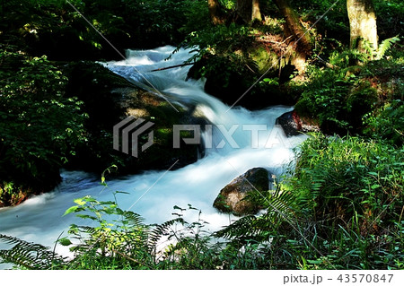 森の中を流れる清流 43570847
