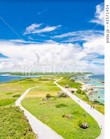 沖縄・東平安名崎の断崖と灯台・津波石群 沖縄・東平安名崎の断崖と灯台・津波石群 43571454