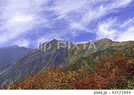谷川岳からの紅葉風景 43571944